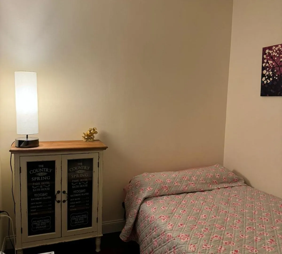 Pensionat The Central Park By Broadway Hotell New York